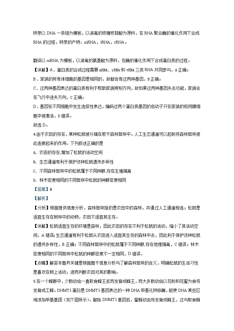 天津市红桥区2020届高三第一次模拟生物试题03