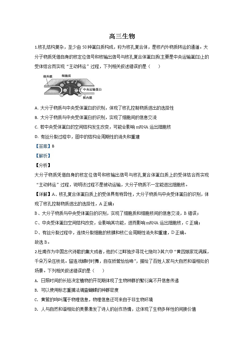 天津市红桥区2020届高三模拟生物试题01