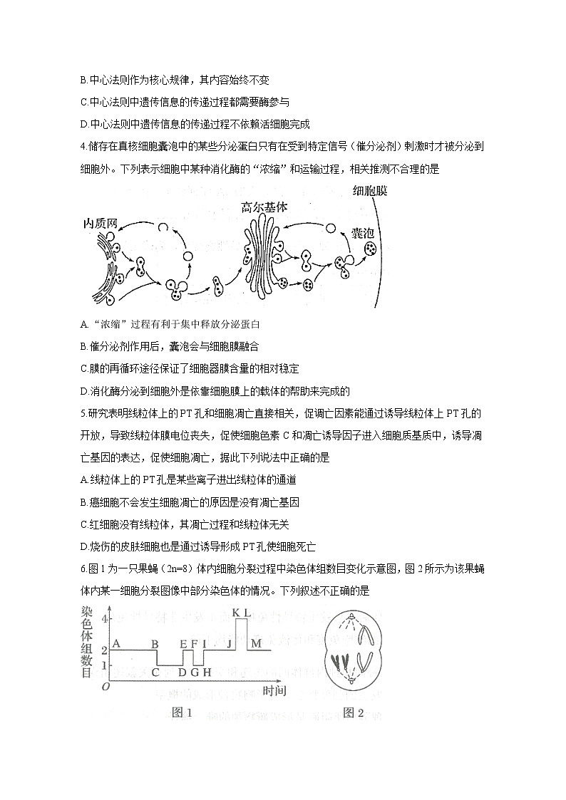 天津市南开区2020届高三高考模拟理科综合测试（一）生物试题02