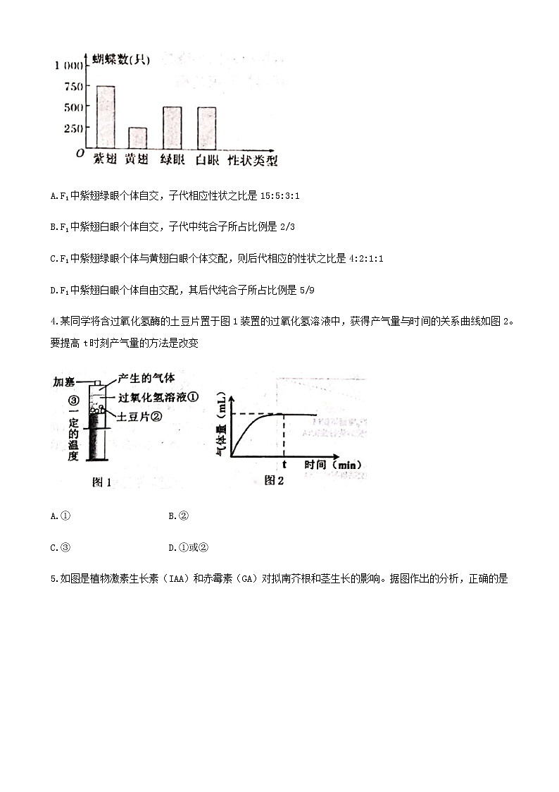 天津市南开区2020届高三下学期模拟考试（二）生物试题02