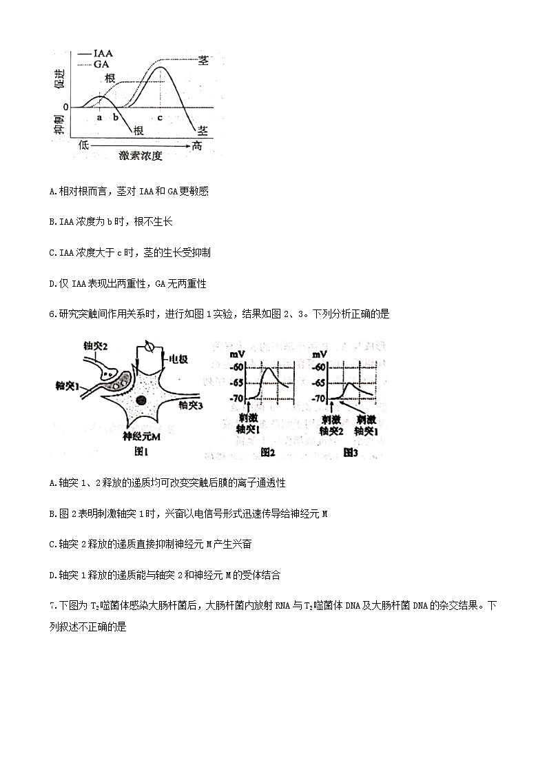 天津市南开区2020届高三下学期模拟考试（二）生物试题03
