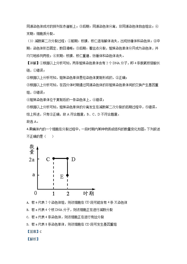 天津市宁河区芦台一中2020届高三3月模拟生物试题03