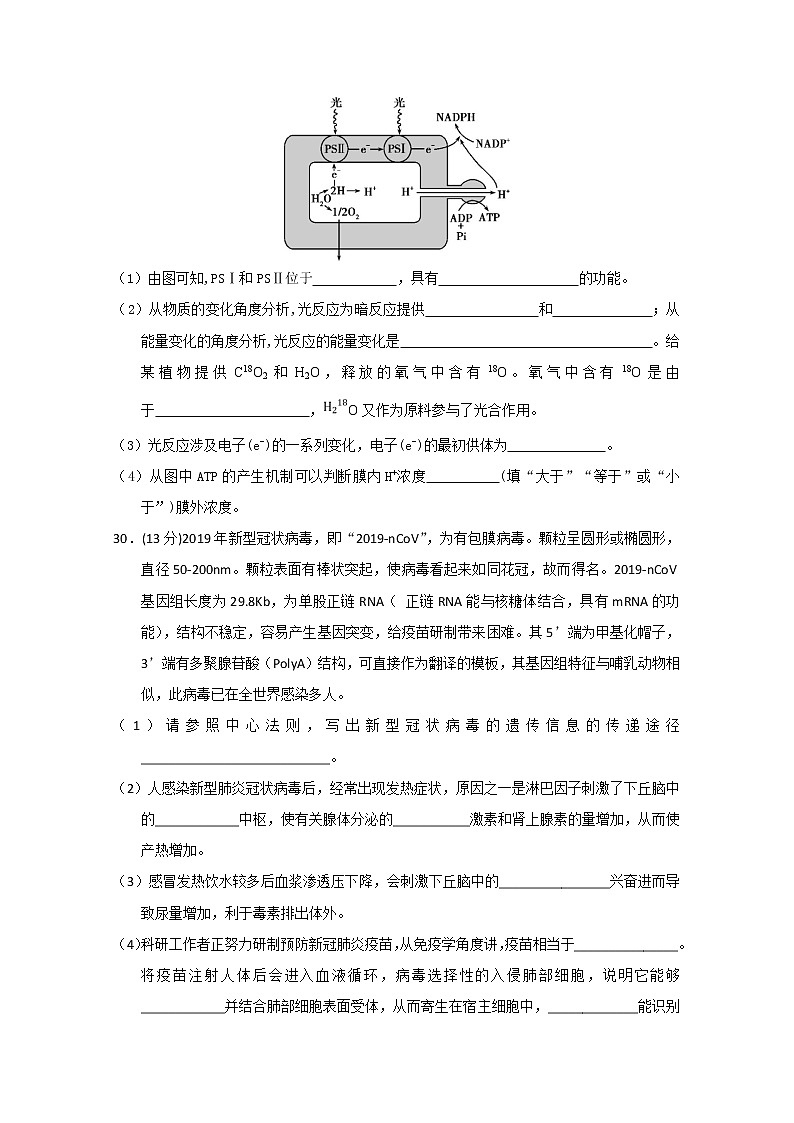 云南省曲靖市第一中学2020届高三模拟考试生物试题第3页