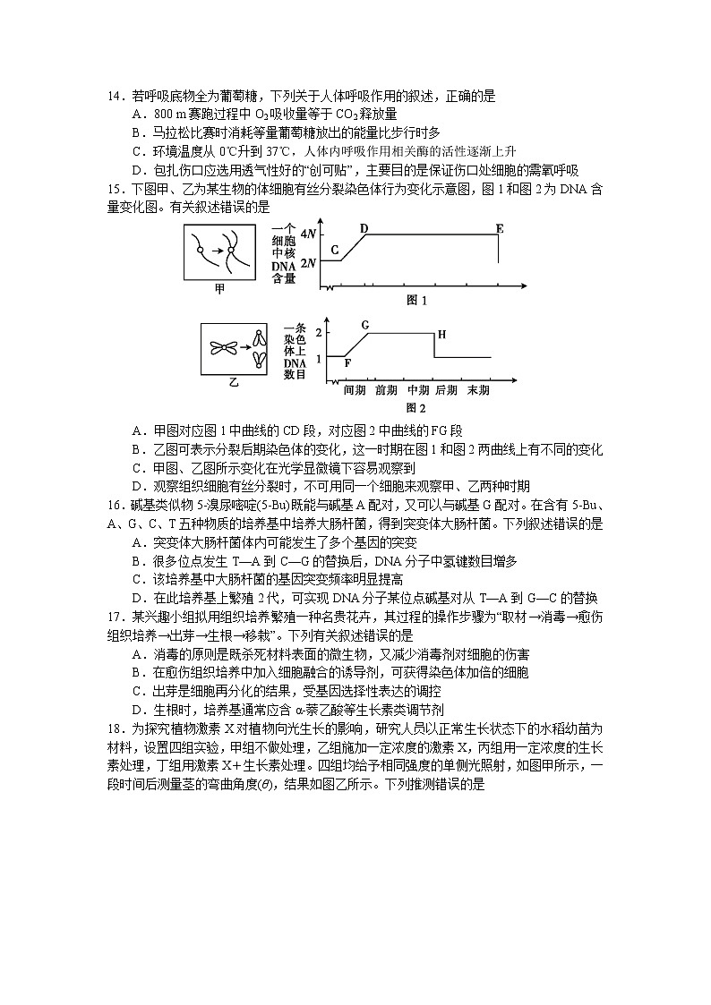 浙江省杭州市高级中学2020届高三5月仿真模拟生物试题03
