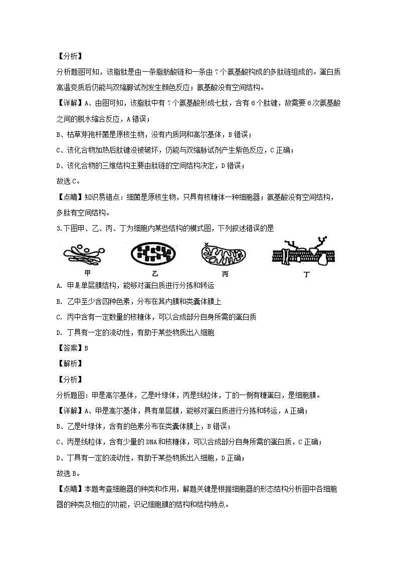 浙江省金华十校2020届高三（11月）模拟考试生物试题02