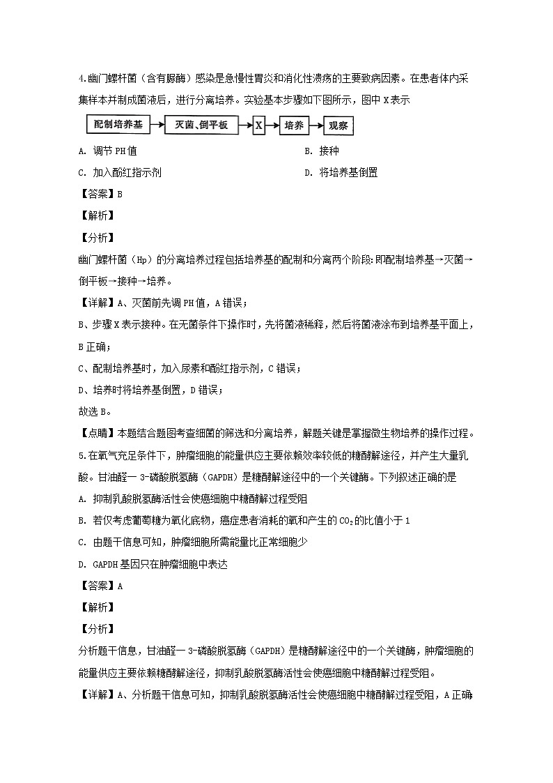 浙江省金华十校2020届高三（11月）模拟考试生物试题03