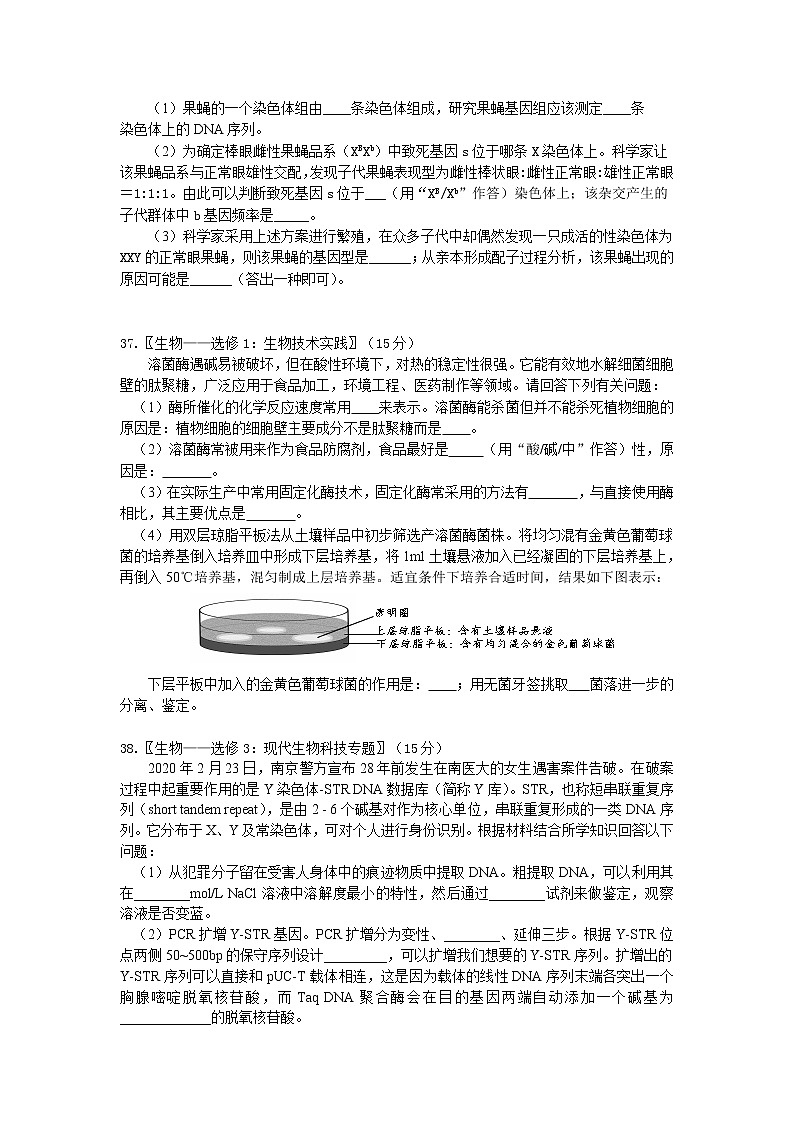 广东省惠州市2020届高三6月模拟考试生物试题03