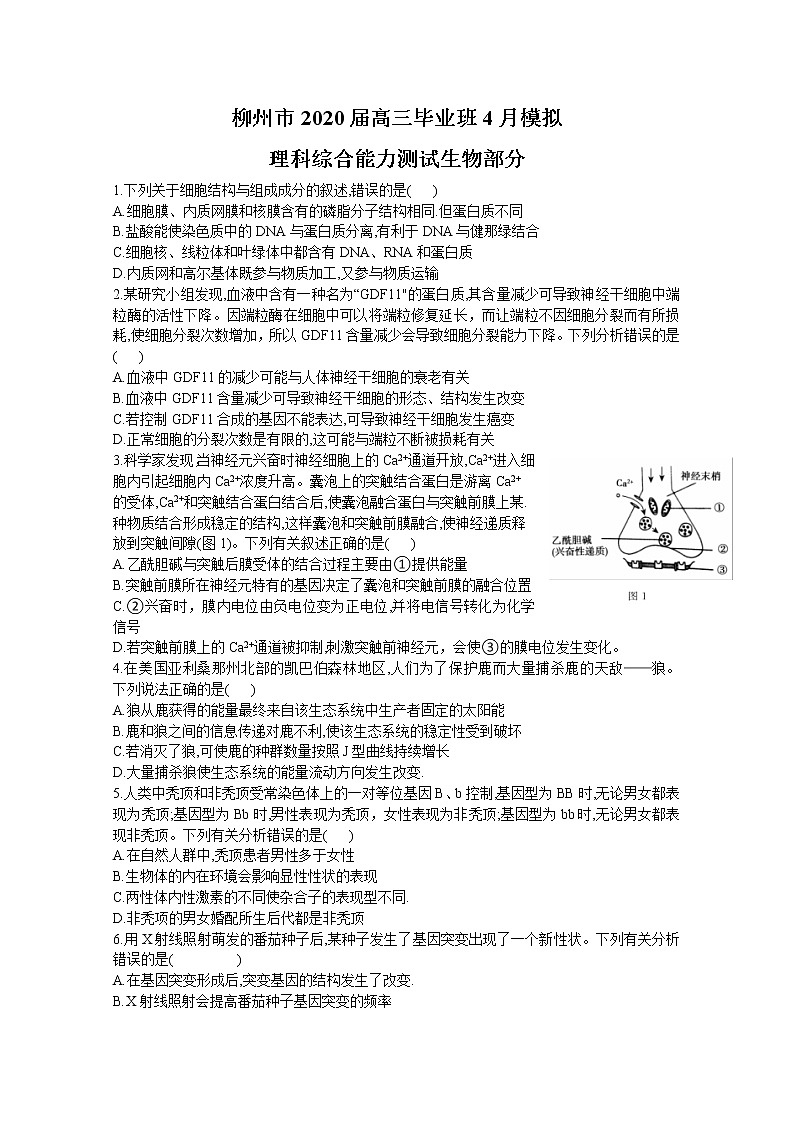 广西柳州市2020届高三毕业班4月模拟考试生物试题01