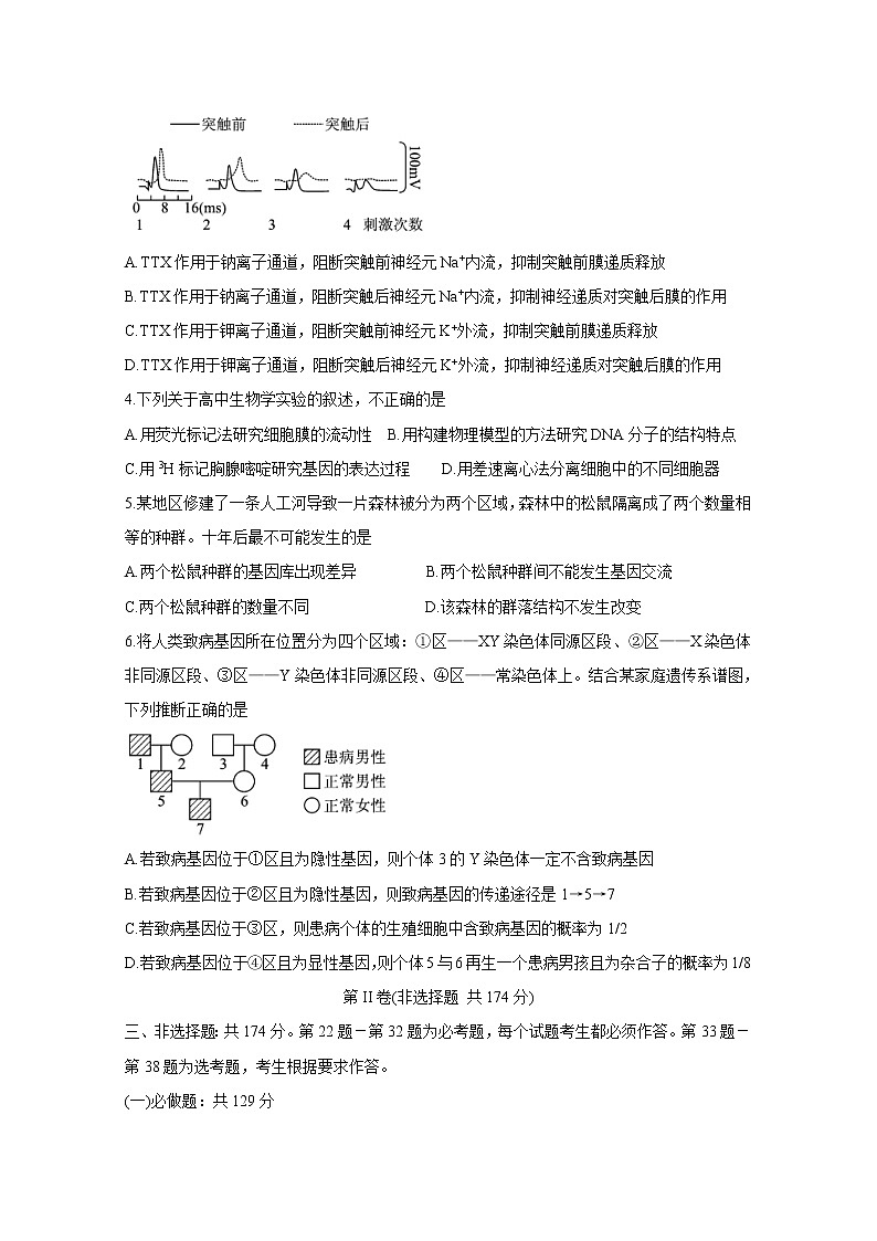 河北省保定市2020届高三第一次模拟考试 生物第2页