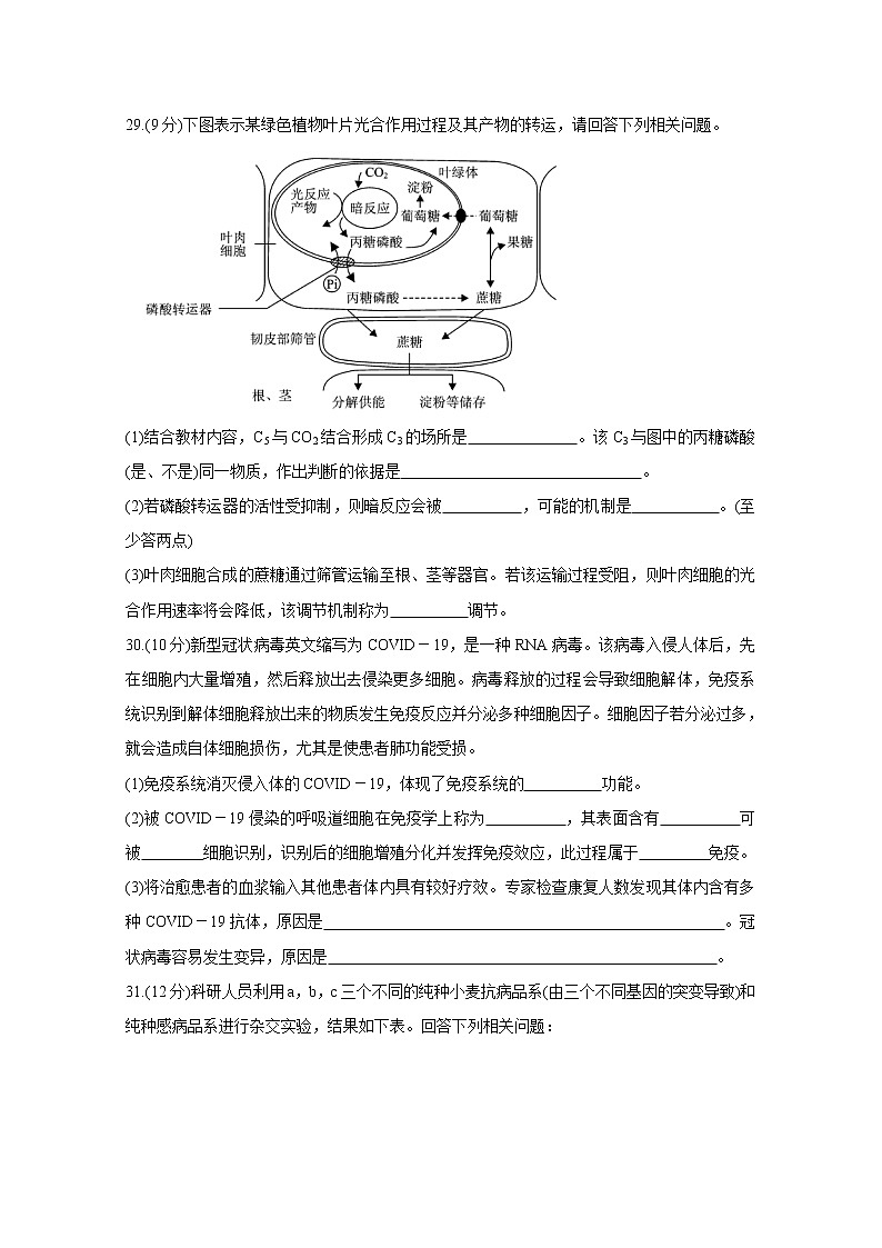 河北省保定市2020届高三第一次模拟考试 生物第3页