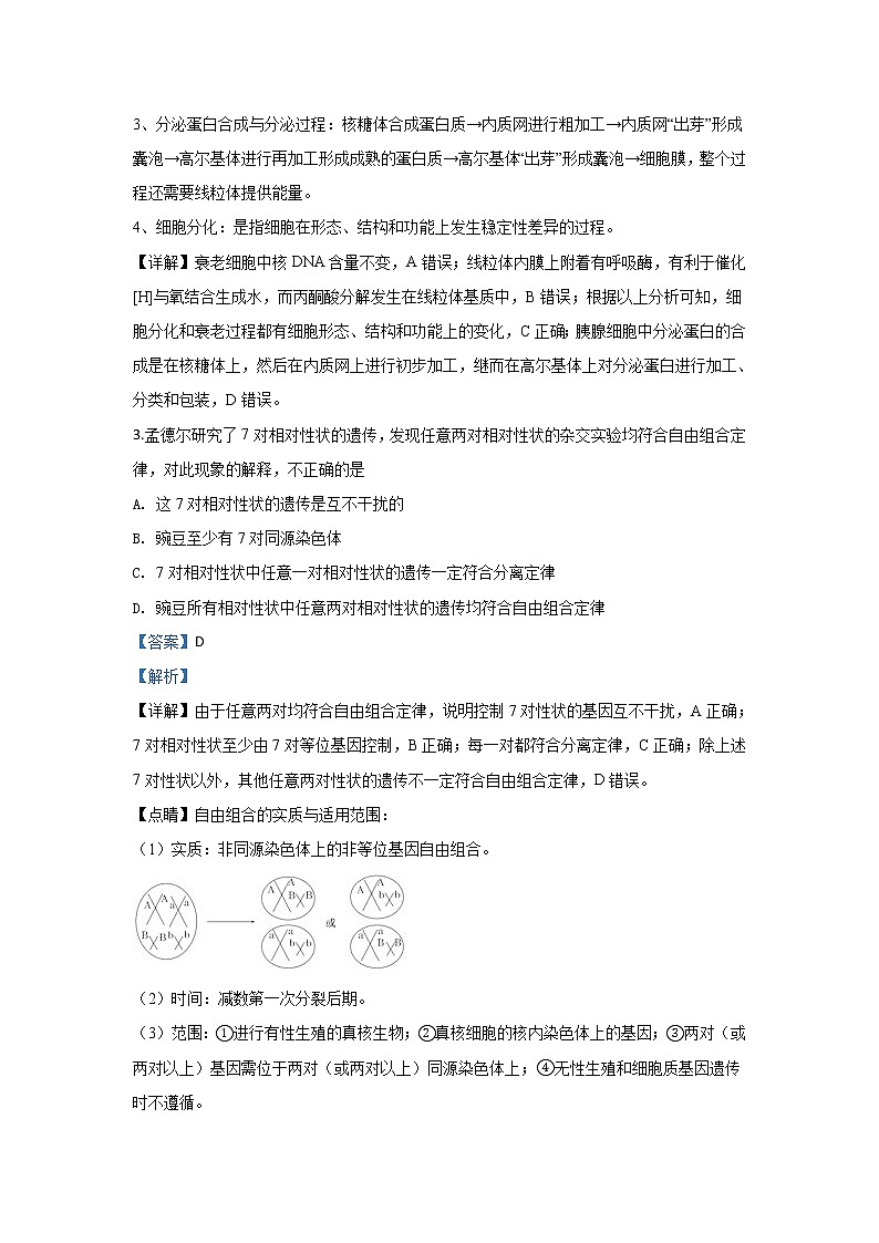 河北省承德市一中2020届高三上学期第三次模拟考试生物试题第2页