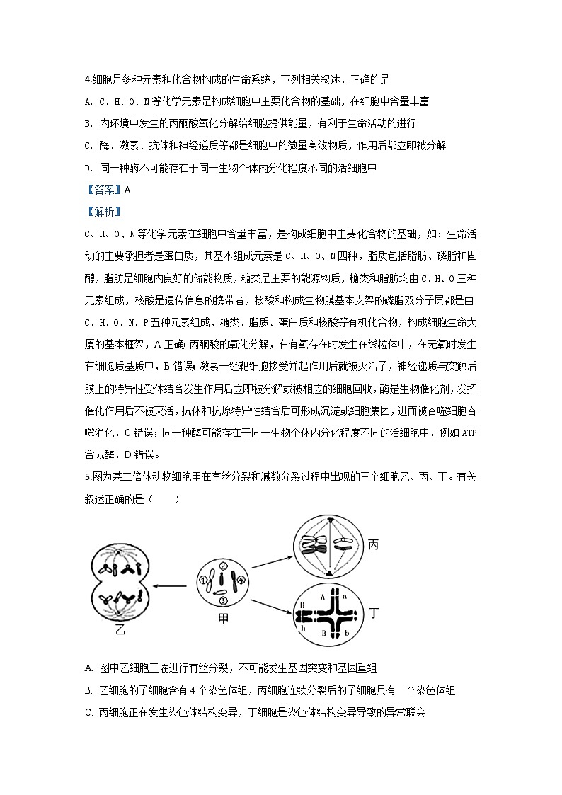 河北省承德市一中2020届高三上学期第三次模拟考试生物试题第3页