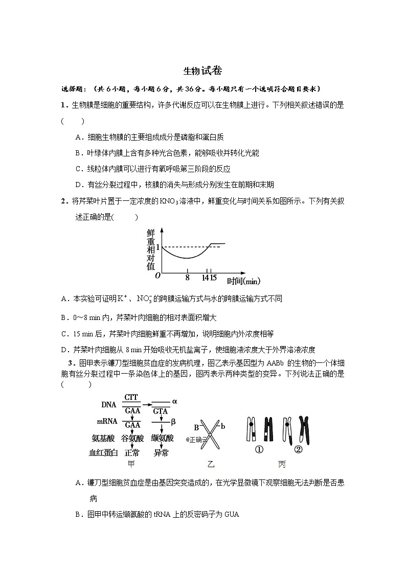 河南省开封市铁路中学2020高三下学期模拟考试生物试卷01