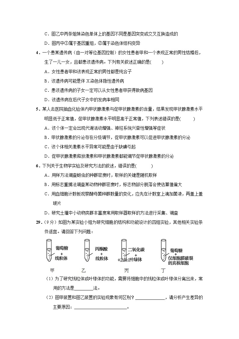 河南省开封市铁路中学2020高三下学期模拟考试生物试卷02