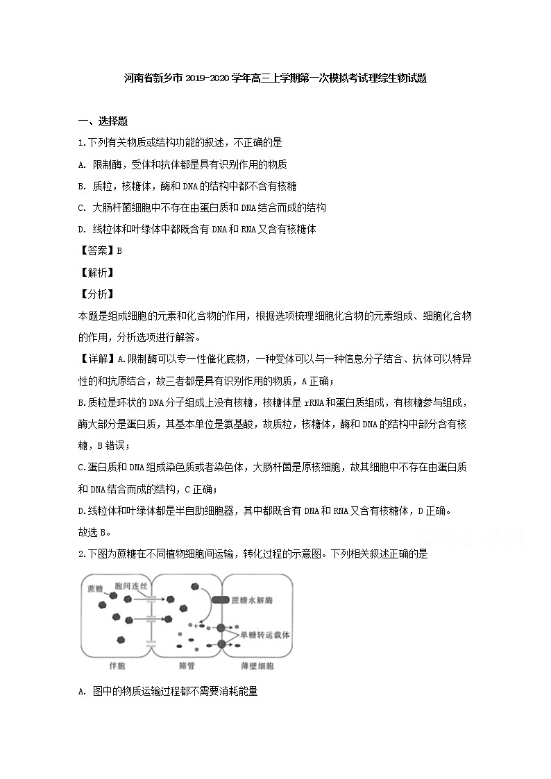 河南省新乡市2020届高三上学期第一次模拟考试理综生物试题01