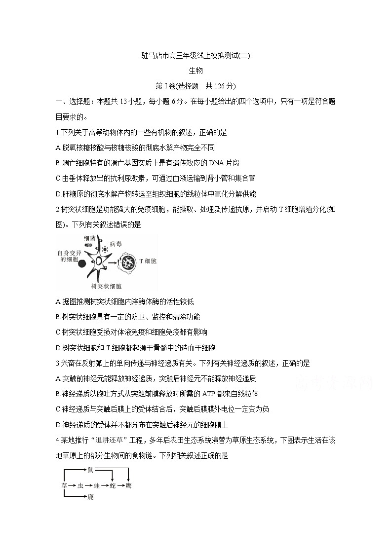 河南省驻马店市2020届高三线上模拟测试（二） 生物01