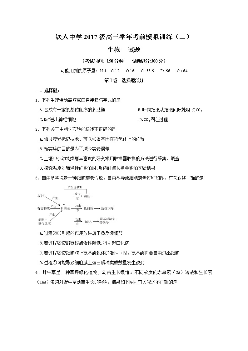 黑龙江省大庆市铁人中学2020届高三考前模拟训练（二）生物试题01