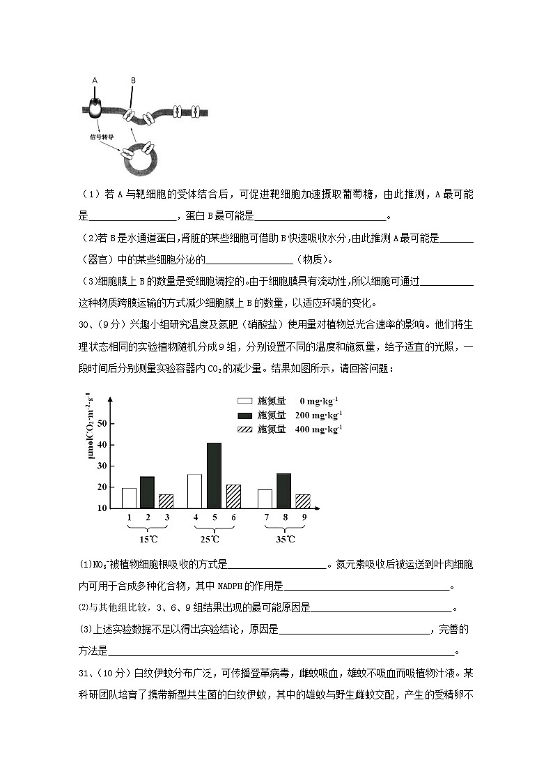 黑龙江省大庆市铁人中学2020届高三考前模拟训练（二）生物试题03