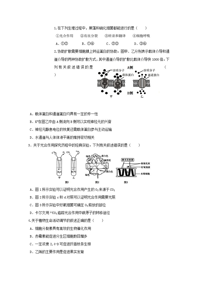 黑龙江省哈尔滨市第六中学校2020届高三第三次模拟考试理综-生物试题01