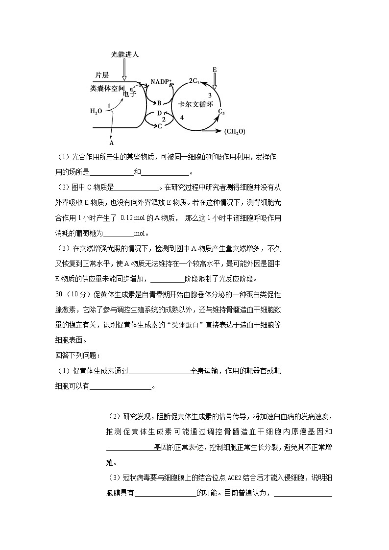 黑龙江省哈尔滨市第六中学校2020届高三模拟考试理综-生物试题03