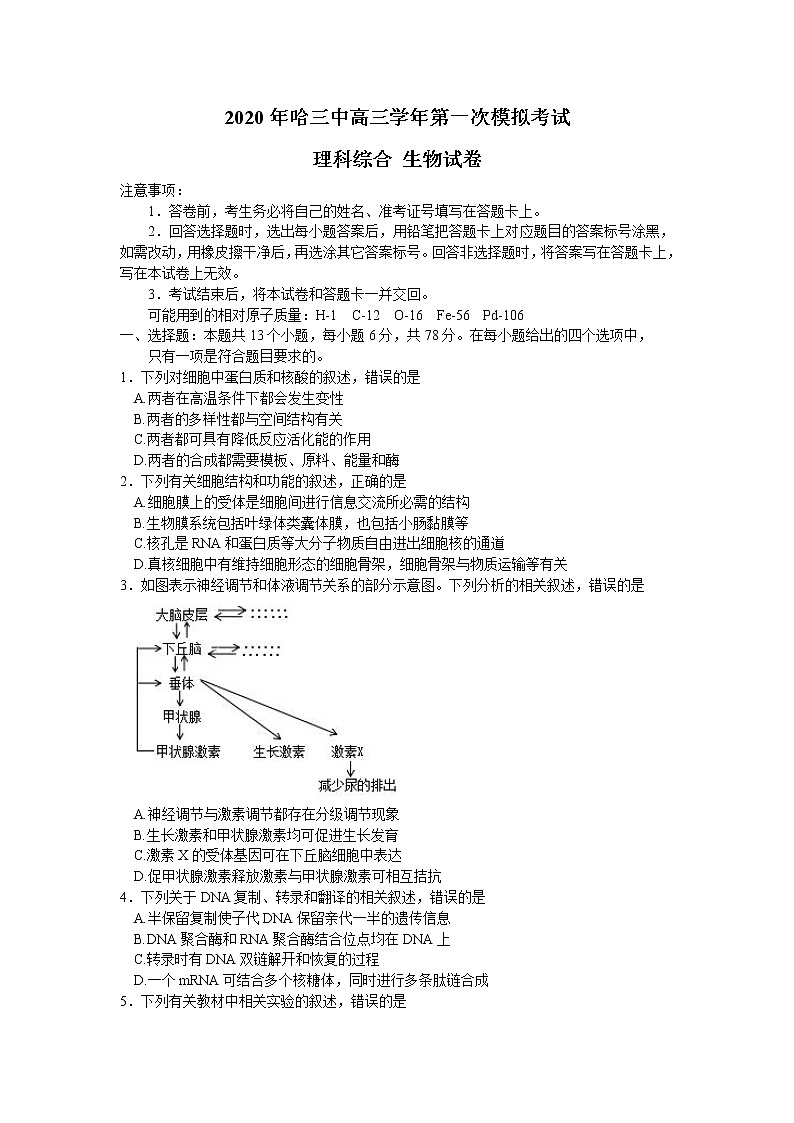 黑龙江省哈尔滨市第三中学2020届高三下学期第一次模拟考试（5月）生物试题01