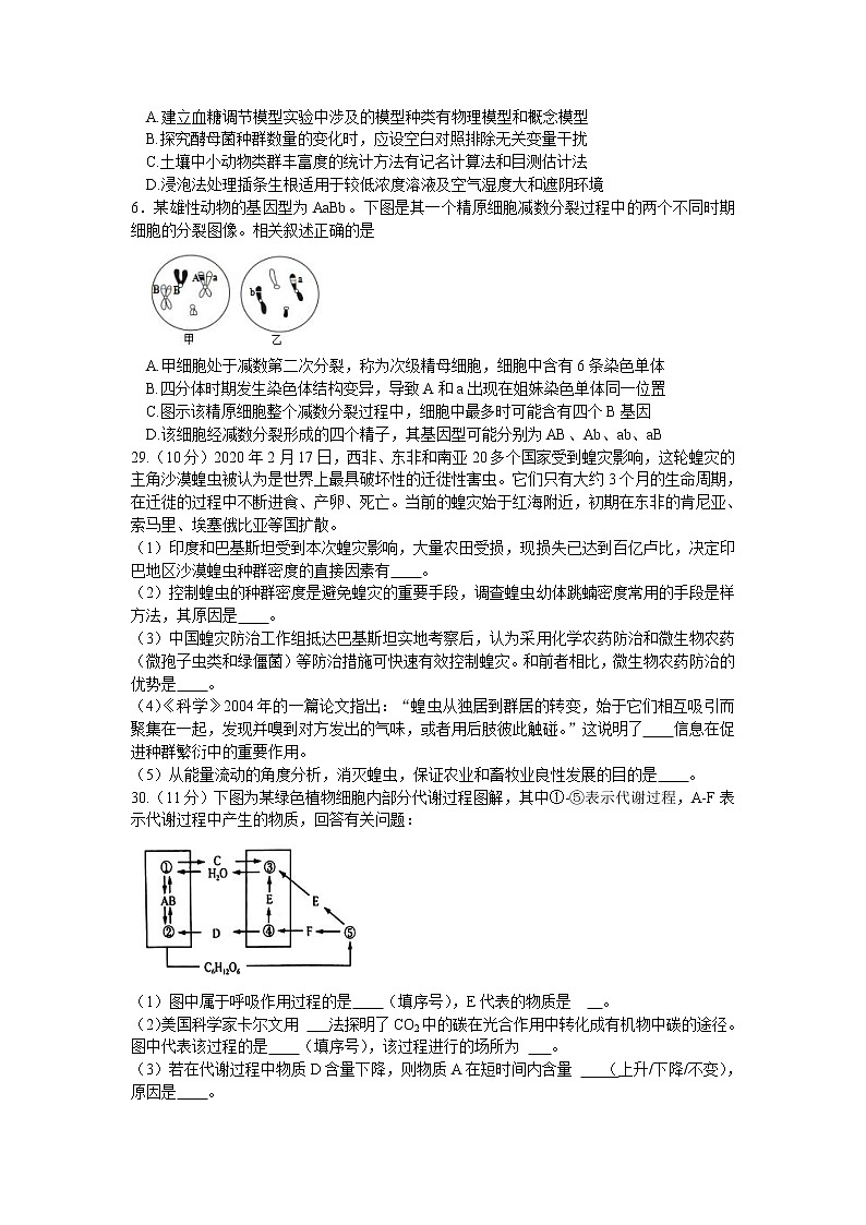 黑龙江省哈尔滨市第三中学2020届高三下学期第一次模拟考试（5月）生物试题02