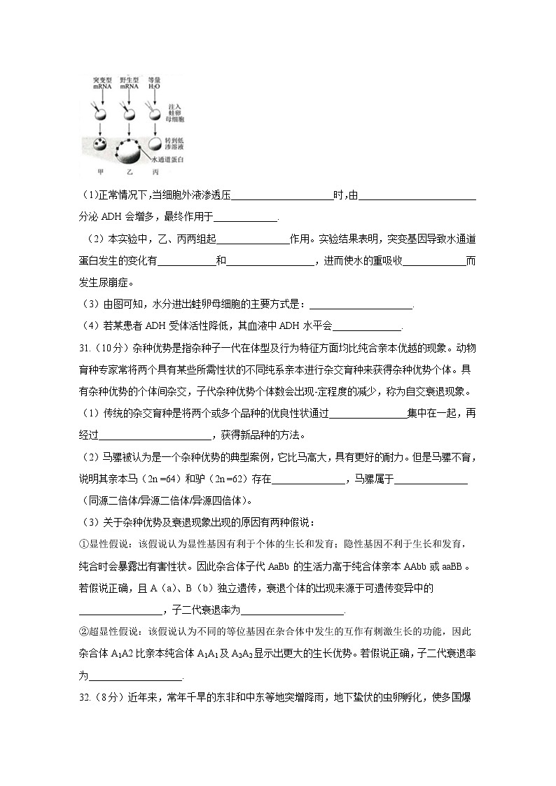 黑龙江省哈师大附中2020届高三下学期第三次模拟考试理综生物试题03