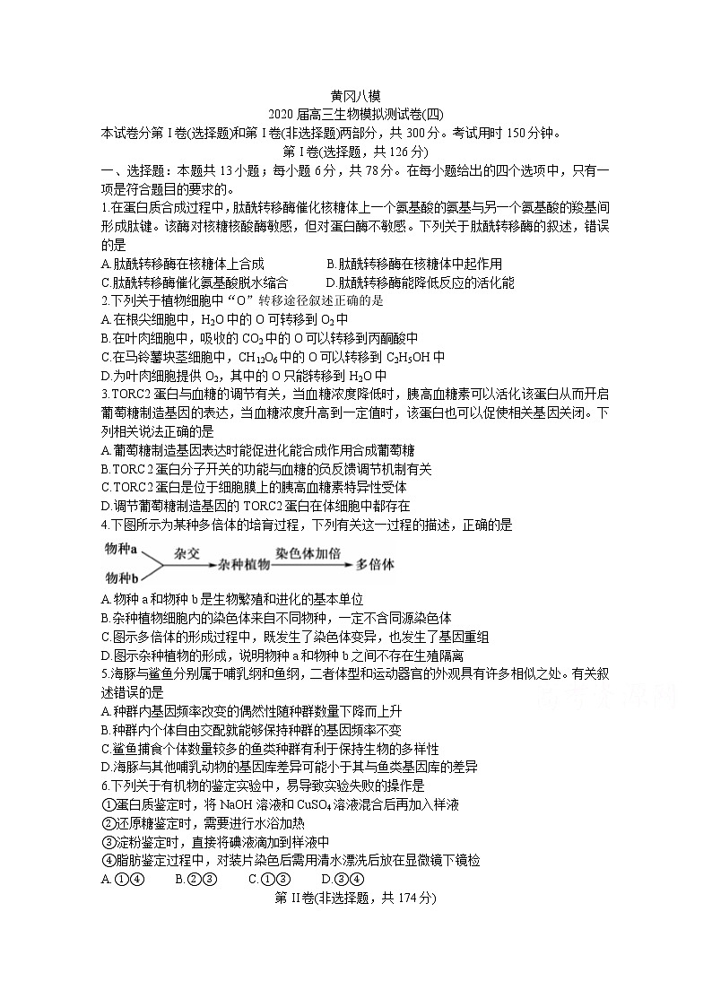 湖北省黄冈八模系列2020届高三模拟测试（四） 生物01