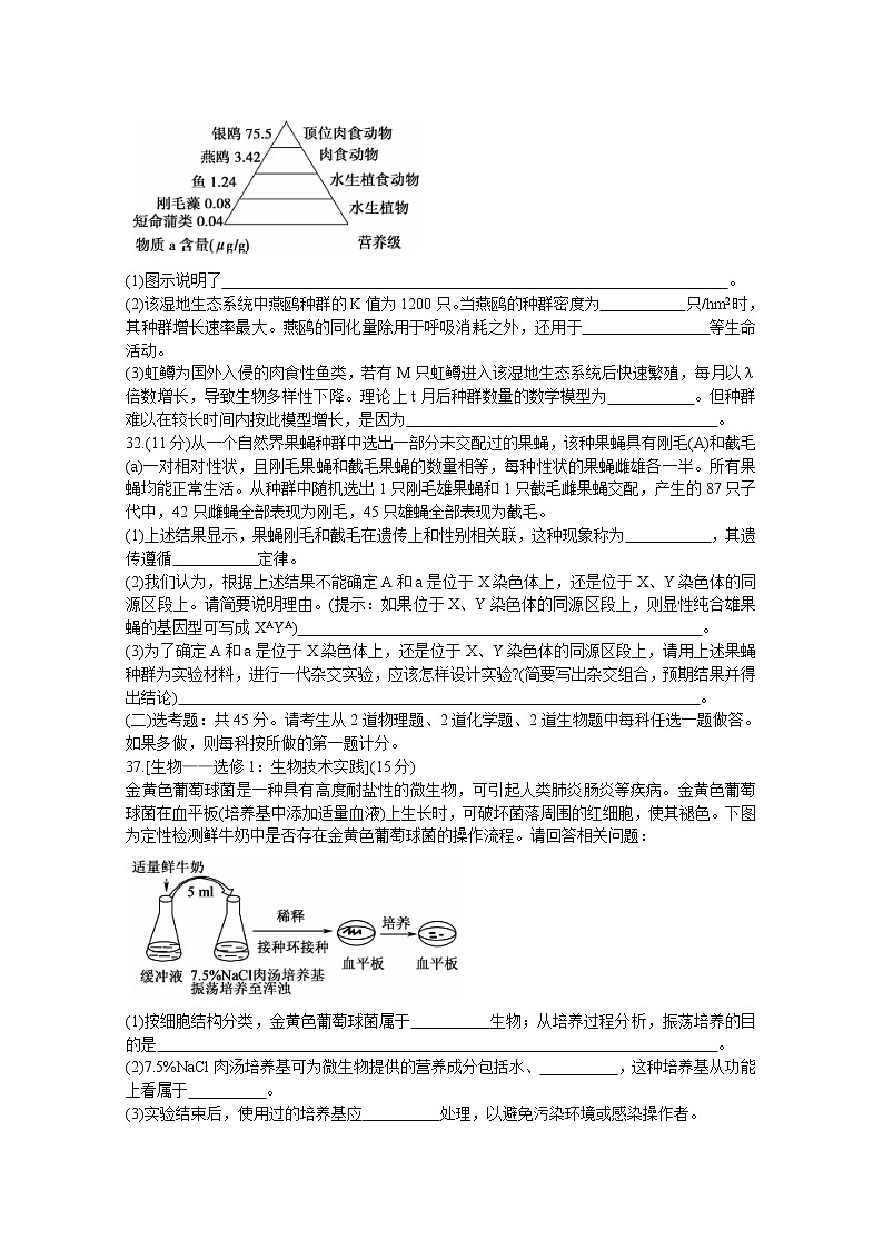 湖北省黄冈八模系列2020届高三模拟测试（四） 生物03