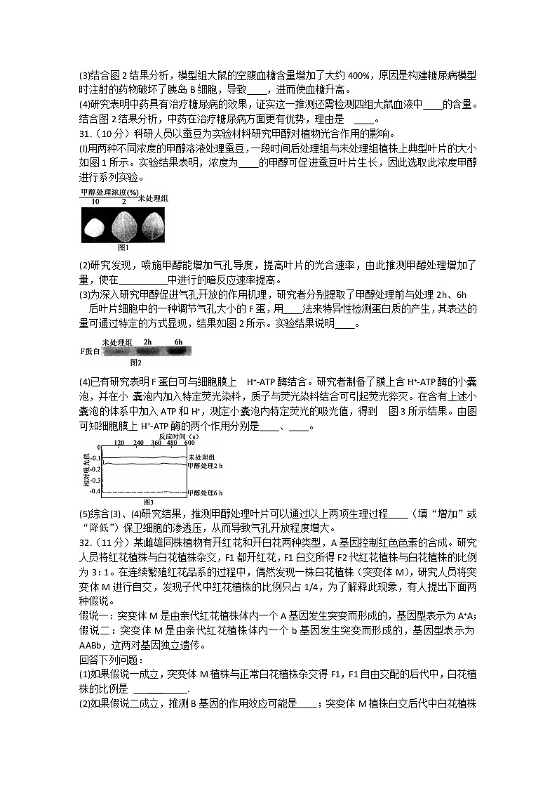 湖北省黄冈八模系列2020届高三模拟测试（五）生物试题03