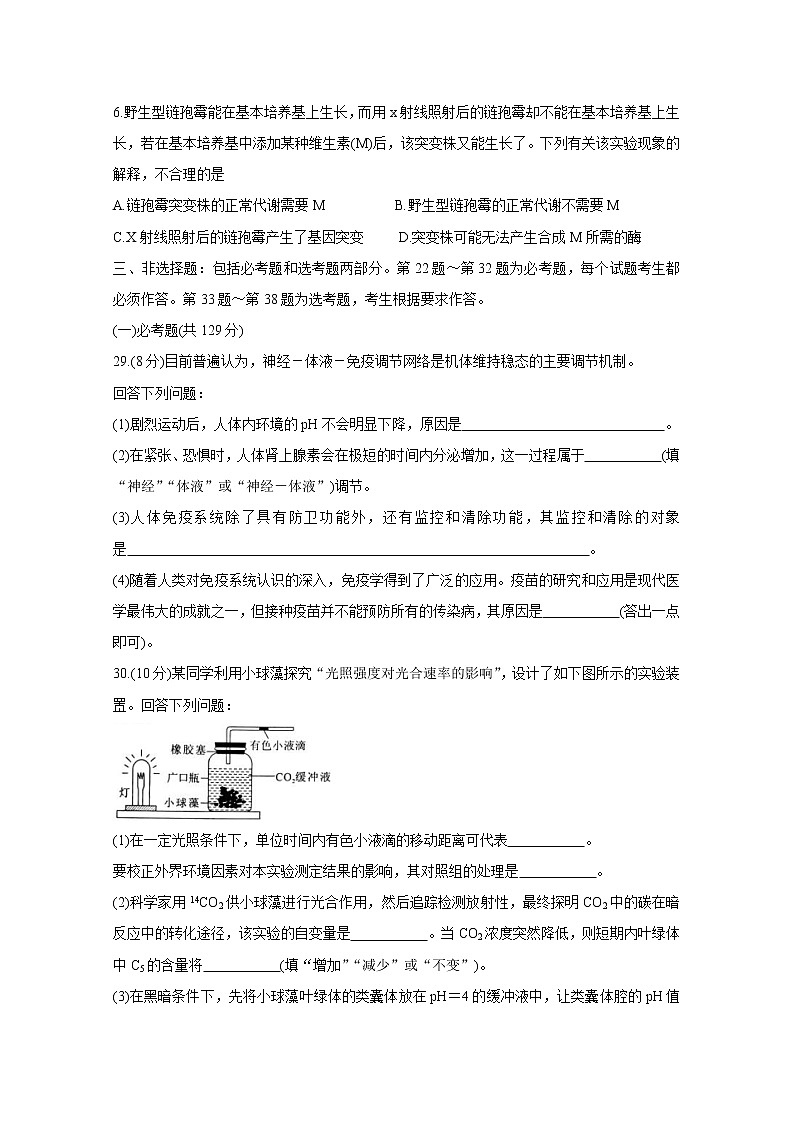 湖南省永州市2020届高三上学期模拟考试 生物02