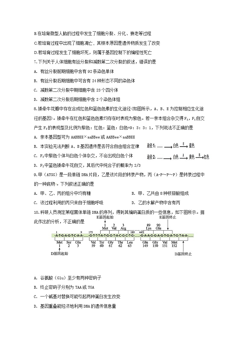 江苏省海安高级中学2020届高三模拟考试生物试题02