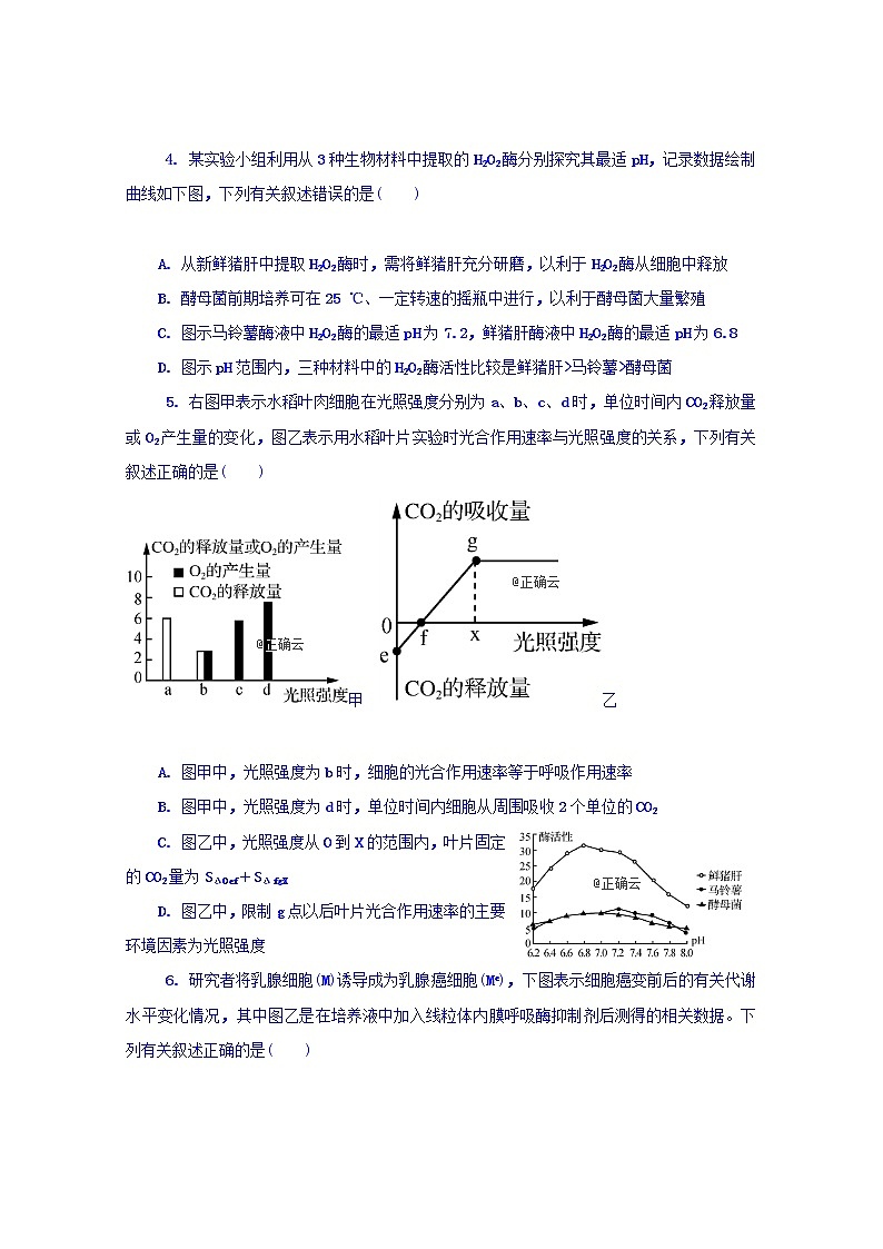 江苏省苏州市实验学校2020届高三上学期模拟考试（一）生物试卷02