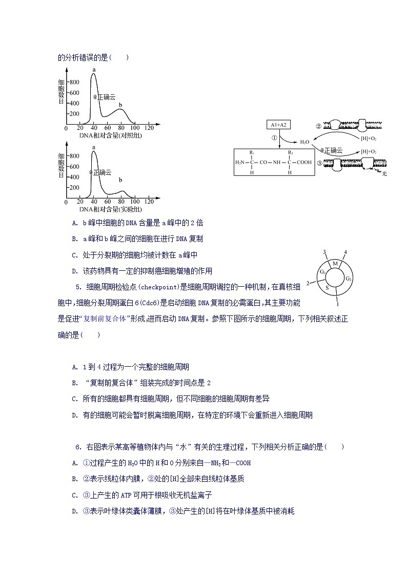 江苏省苏州市实验学校2020届高三上学期模拟考试生物试卷02
