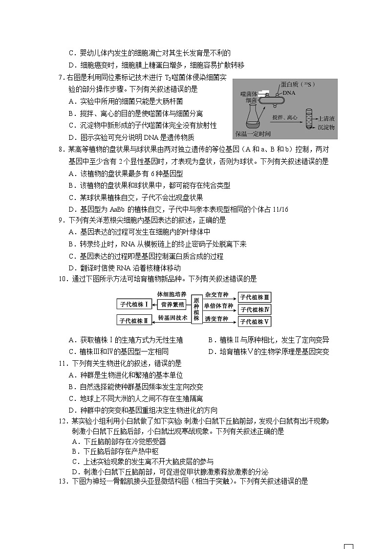 江苏省徐州市古邳中学2020届高三第一次模拟考试生物试卷02