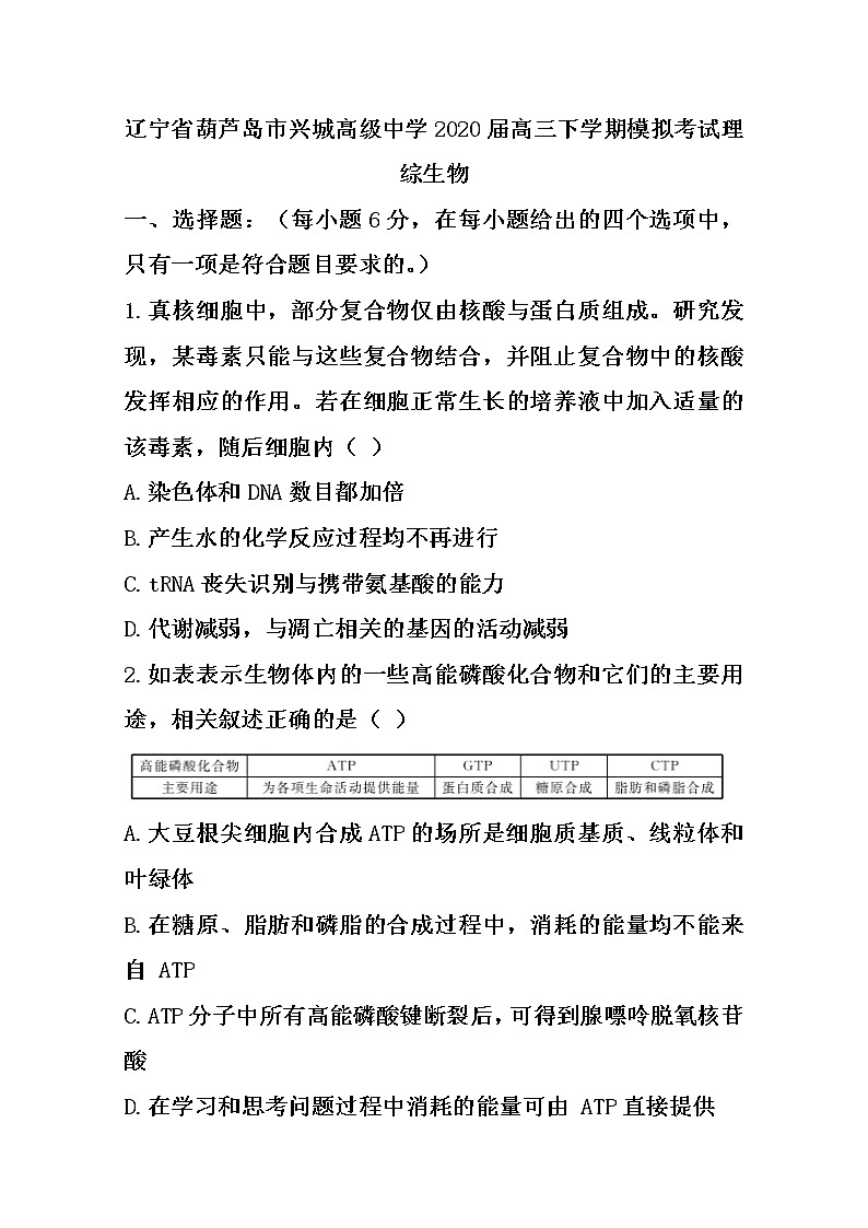 辽宁省葫芦岛市兴城高级中学2020届高三下学期模拟考试生物试题01
