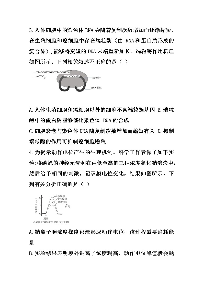 辽宁省葫芦岛市兴城高级中学2020届高三下学期模拟考试生物试题02