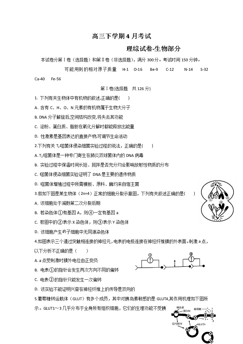 辽宁省辽河油田第二高级中学2020届高三4月模拟考试生物试题01