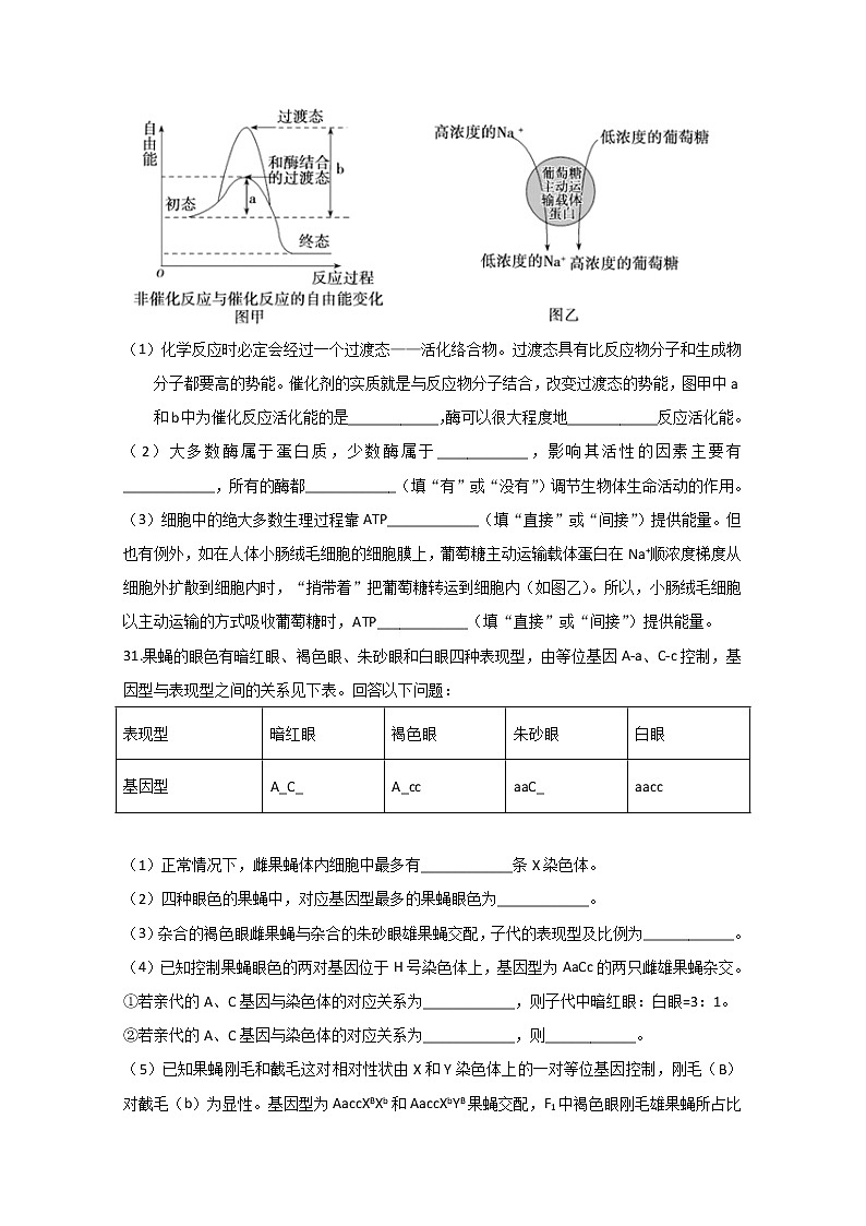 辽宁省辽河油田第二高级中学2020届高三4月模拟考试生物试题03