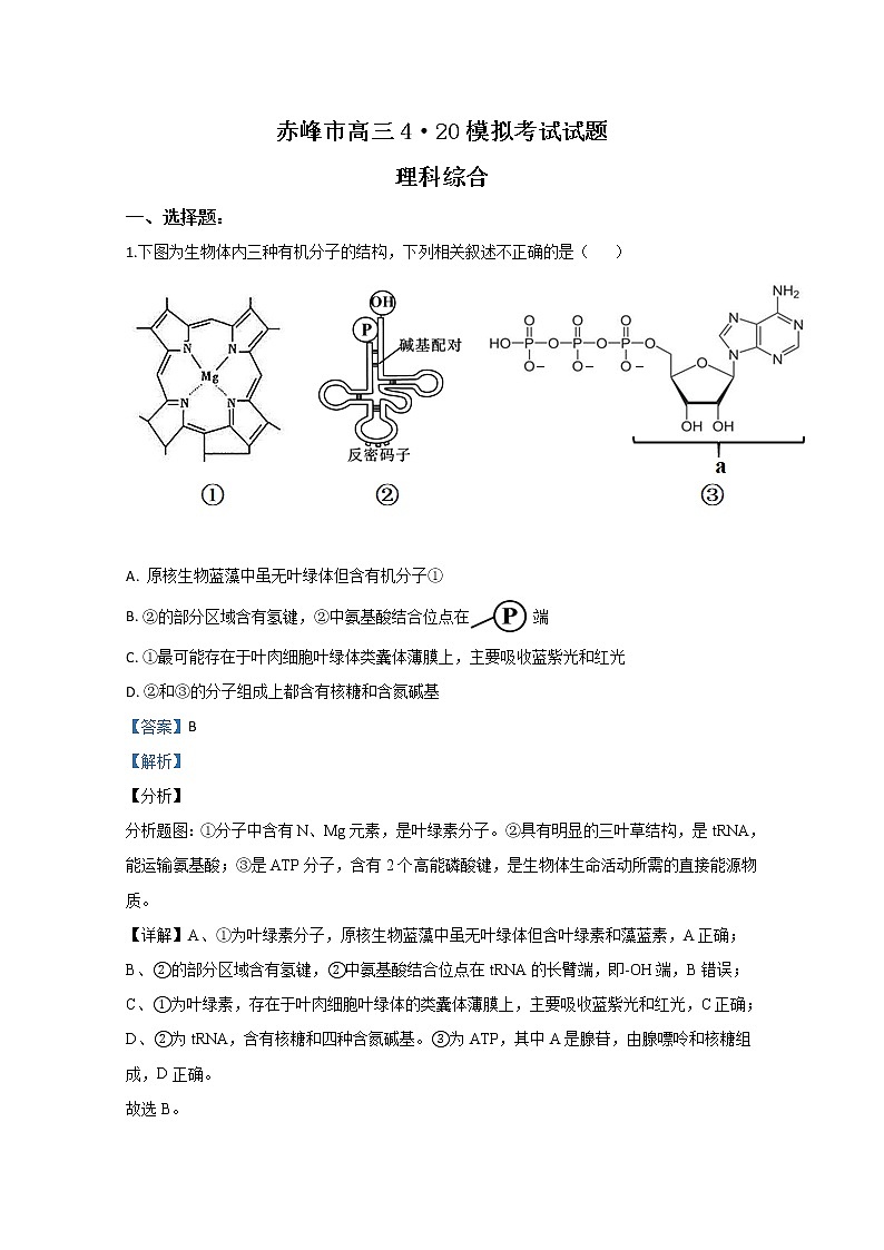 内蒙古赤峰市2020届高三4月模拟生物试题第1页