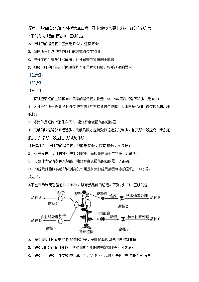 内蒙古赤峰市宁城县2020届高三统一模拟生物试题02