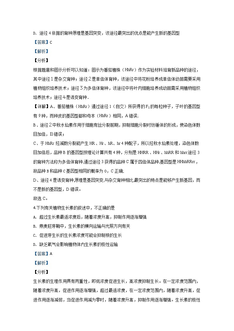 内蒙古赤峰市宁城县2020届高三统一模拟生物试题03