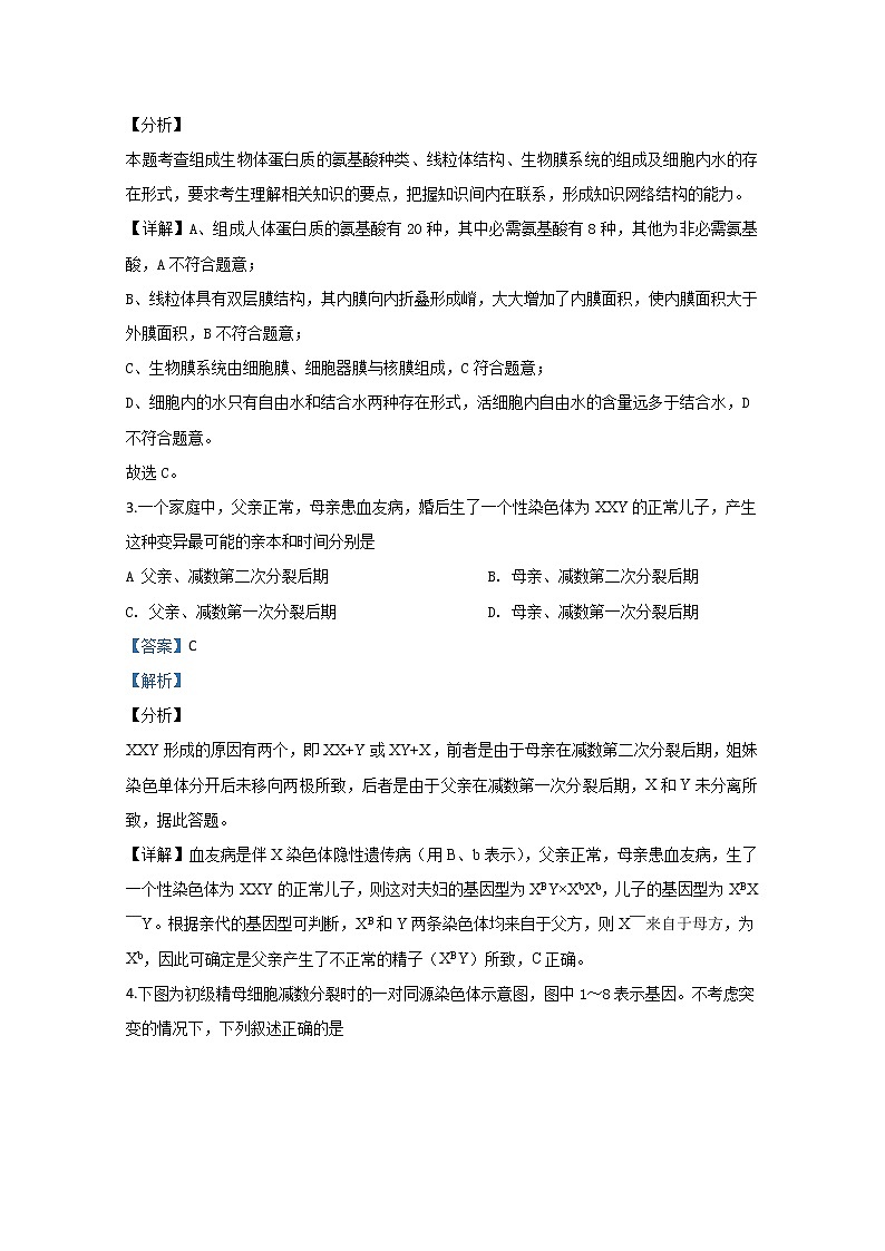宁夏回族自治区石嘴山市三中2020届高三第一次模拟考试生物试题02