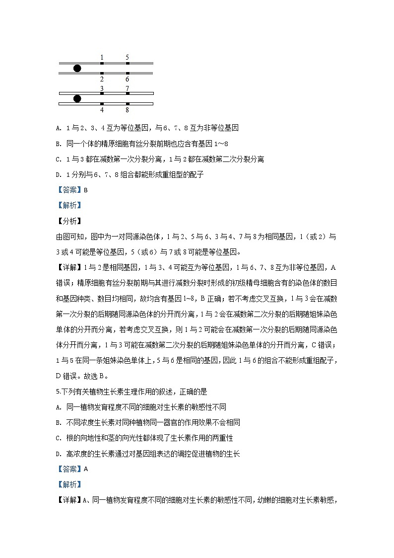 宁夏回族自治区石嘴山市三中2020届高三第一次模拟考试生物试题03