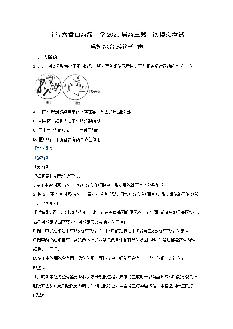 宁夏六盘山高级中学2020届高三下学期模拟生物试题01