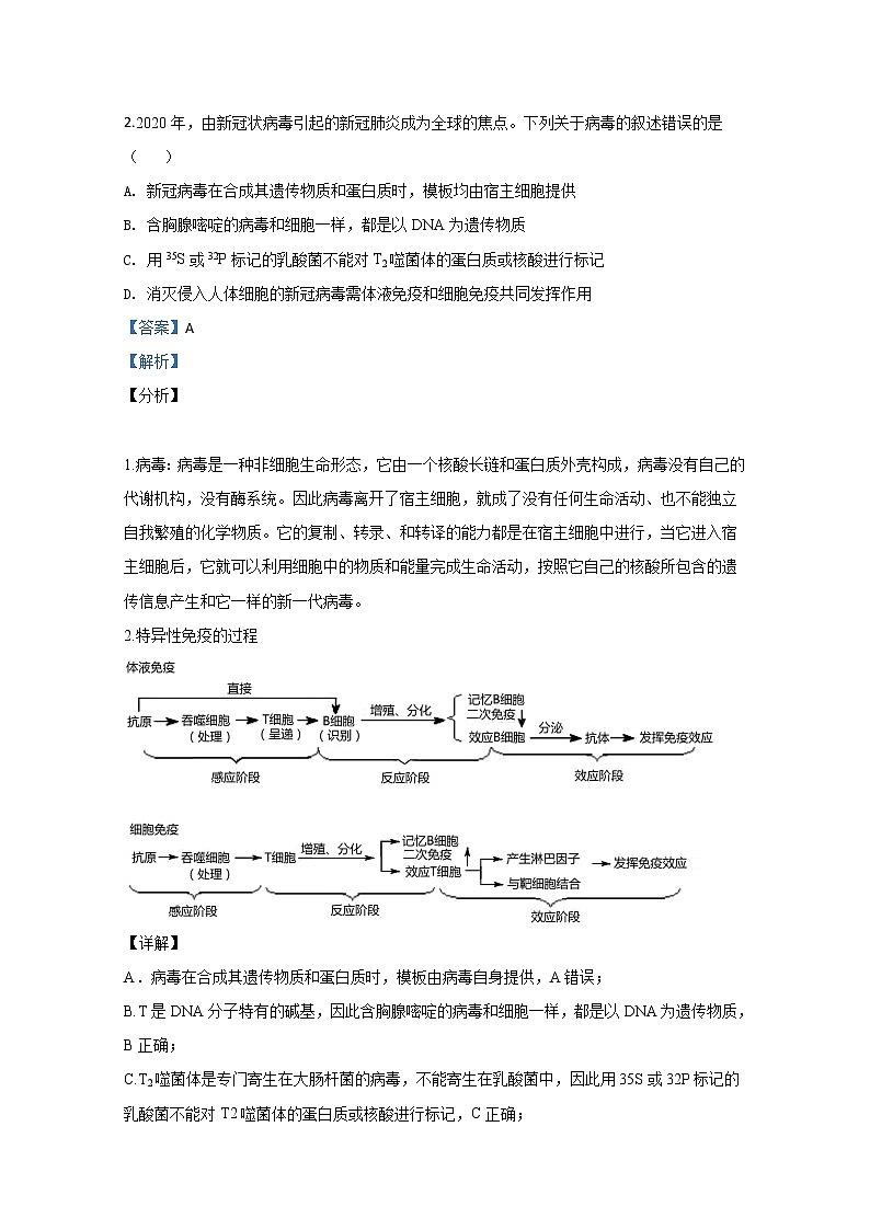 宁夏六盘山高级中学2020届高三下学期模拟生物试题02