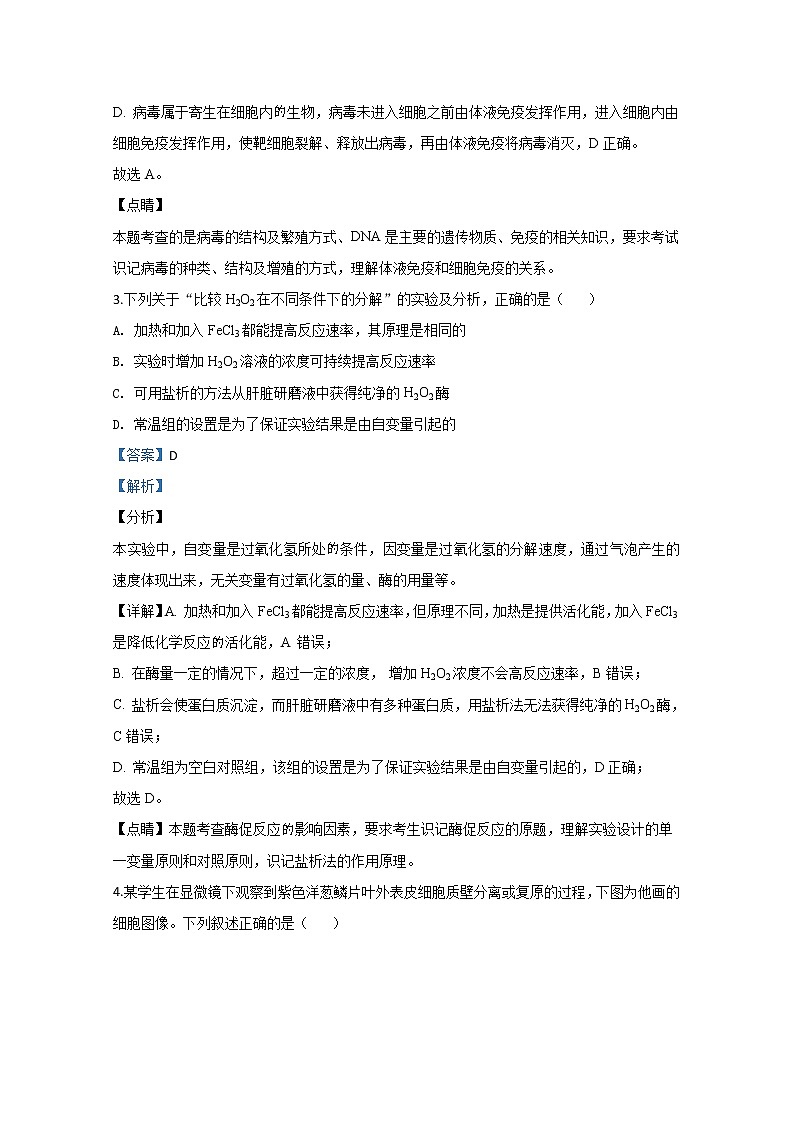 宁夏六盘山高级中学2020届高三下学期模拟生物试题03