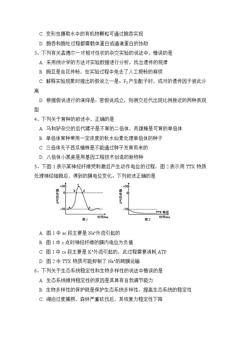 宁夏石嘴山市第三中学2020届高三第三次模拟考试生物试题02