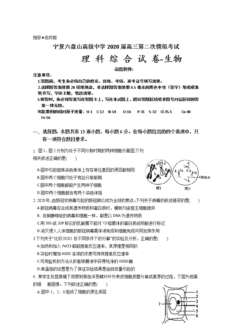 宁夏六盘山高级中学2020届高三下学期模拟考试生物试题01
