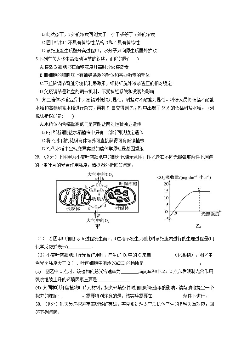 宁夏六盘山高级中学2020届高三下学期模拟考试生物试题02